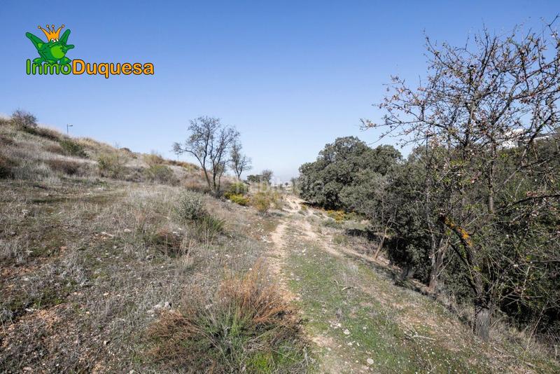 Foto e44a0f6f-2c7b-4f7e-b3b7-3d5756749675. Terreno residenziale in Altos de la Zubia Zubia (La)