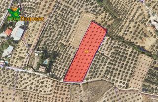 Country house in Cogollos de la Vega. Finca rústica en cogollos vega con toma de luz y agua en la entr