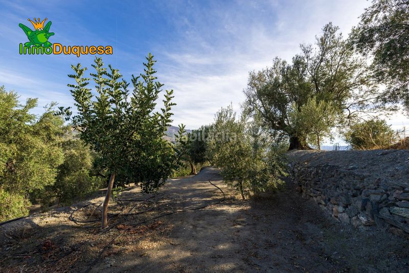 Foto 0fe78b95-d1f4-4c8c-b43a-196416101530. Masia a Pinar (El)