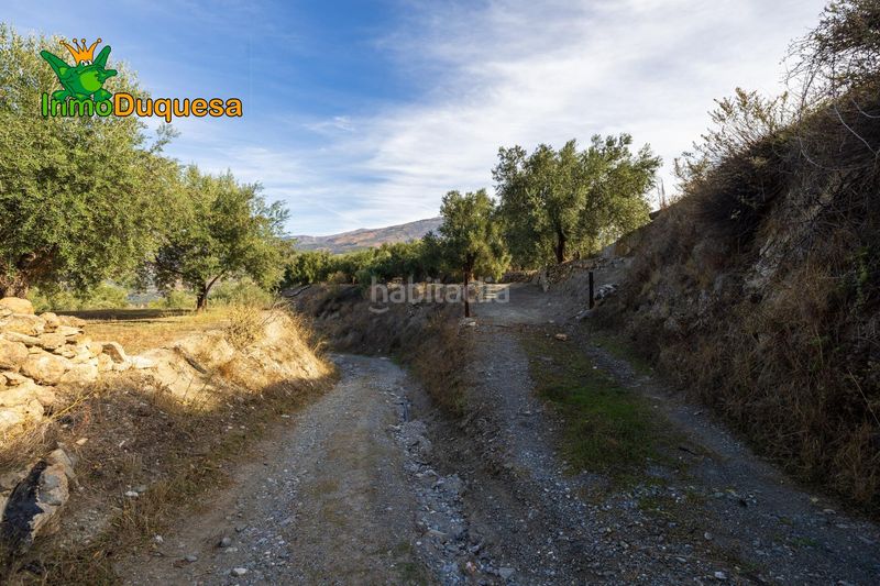 Foto 14cabc43-e6fb-454a-ad82-7bcbeacc4c39. Masia a Pinar (El)