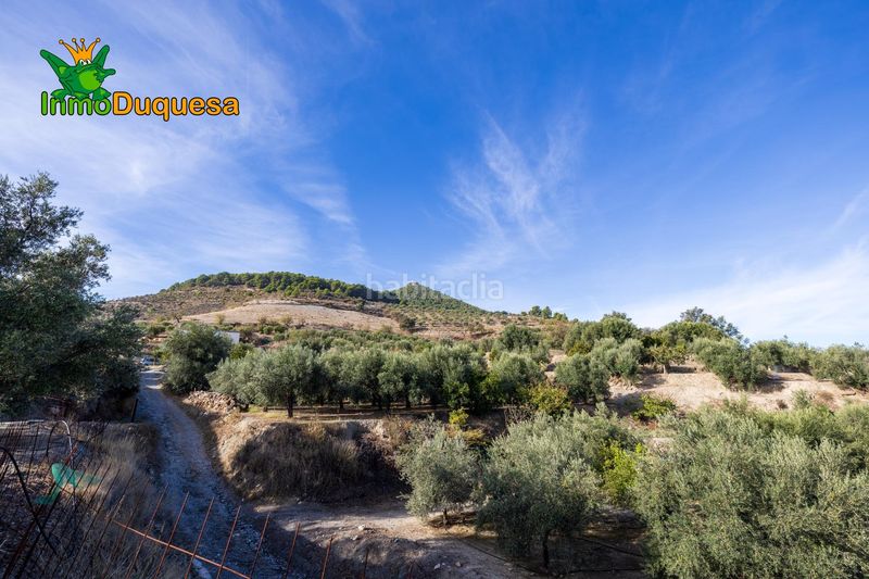 Foto 1ca31a8f-d31d-4fb4-a907-1f98e516b3fc. Masia a Pinar (El)