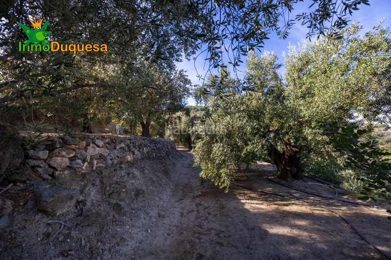 Foto 267deff7-4d2e-4be7-b6a9-e70553db890e. Masia a Pinar (El)