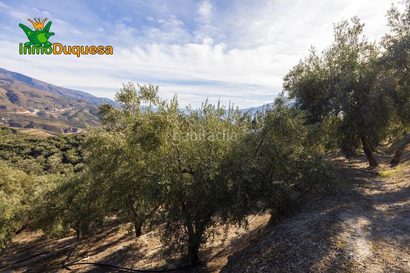 Foto 2cbf4413-075e-4f76-bbd3-a44368178e65. Masia a Pinar (El)