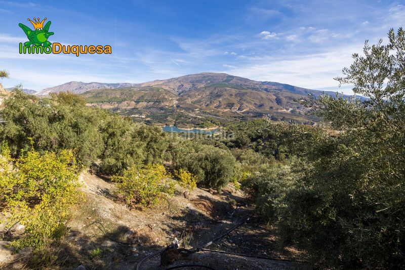 Foto 36dba5bf-5c4c-4d89-847b-3bea423c83ec. Masia a Pinar (El)