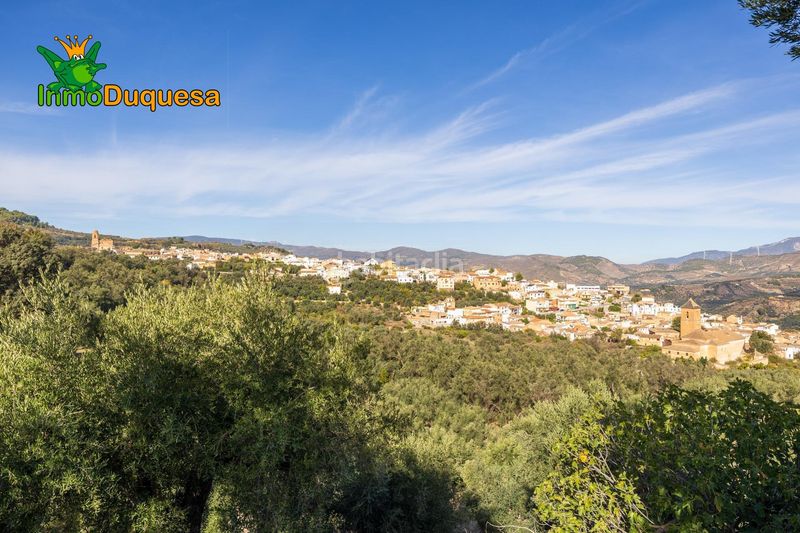 Foto 400a46b3-7164-476f-81cc-45ccff79f4b7. Masia a Pinar (El)