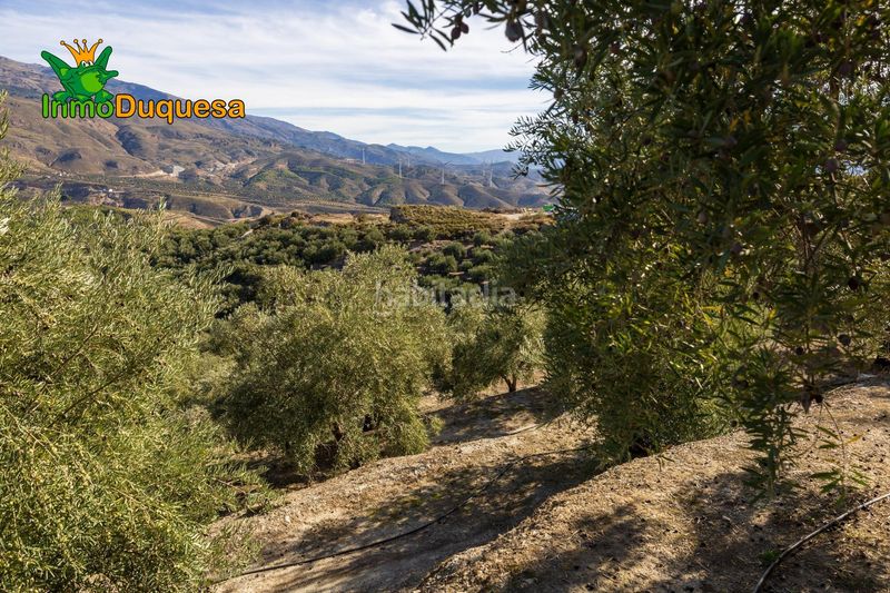 Foto 58a54bfc-3703-4908-b87e-75af726d8f36. Masia a Pinar (El)