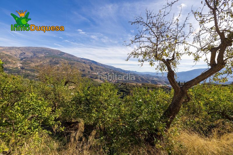 Foto 5fd3ab61-316a-429e-891c-1caf5526de01. Masia a Pinar (El)