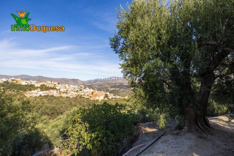 Foto 6931e041-308d-4ca4-a33b-06ec3925d6de. Masia a Pinar (El)