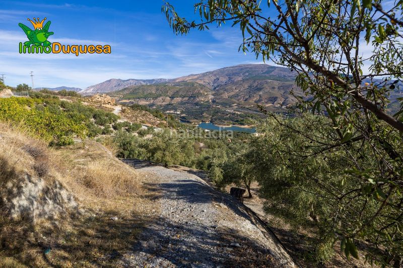 Foto 6f7bc11e-38d1-41ce-80e5-3c56886ac2fe. Masia a Pinar (El)