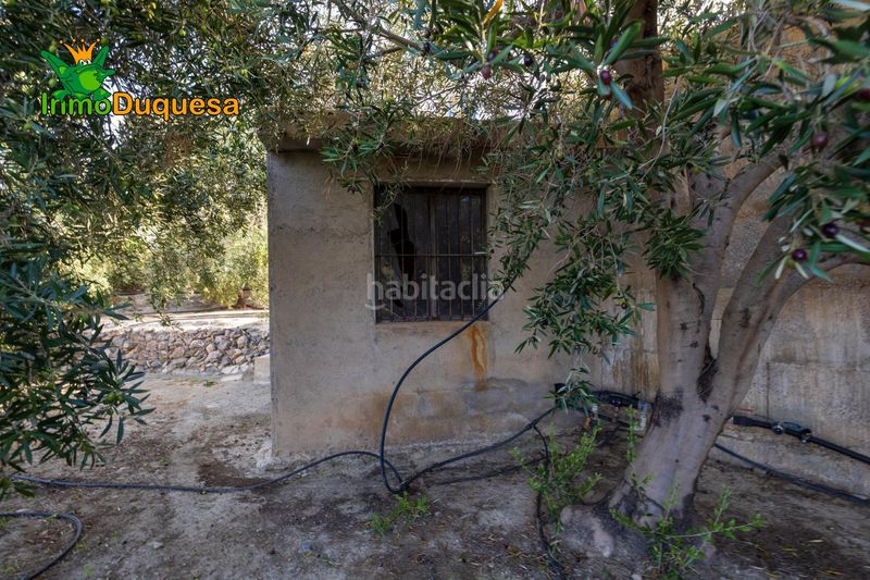 Foto 755215af-c212-4e4f-892d-697eb98d955f. Masia a Pinar (El)