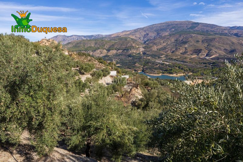 Foto 77dfa448-f3dc-418d-96e5-a8317236d404. Masia a Pinar (El)