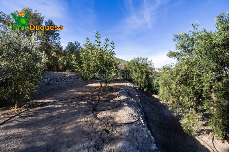 Foto 7b69f24f-af35-498f-9470-eb3b30853926. Masia a Pinar (El)