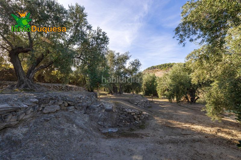 Foto 7b792ec9-78a5-4410-ab38-a852711c45da. Masia a Pinar (El)