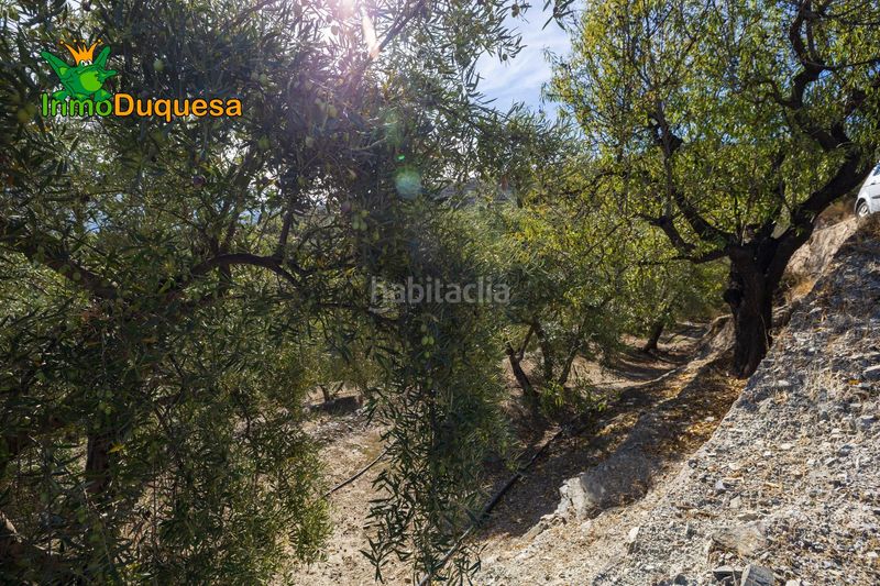 Foto 803a05f7-916e-4e3f-997b-95fad988d2d8. Masia a Pinar (El)
