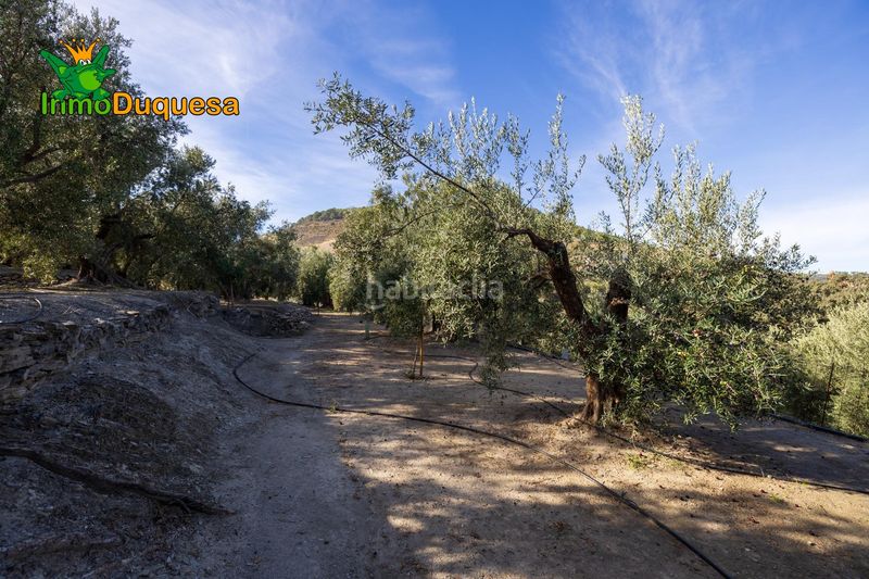 Foto 82c2b79b-6004-46f7-925d-14643099ac8d. Masia a Pinar (El)