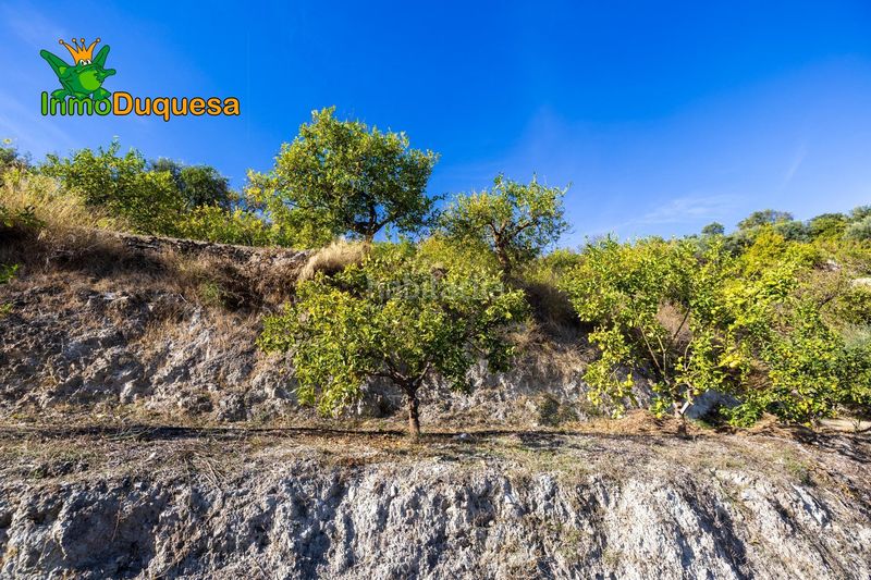 Foto 9f3216e3-5a31-49b1-8d37-d000e9bfcb08. Masia a Pinar (El)