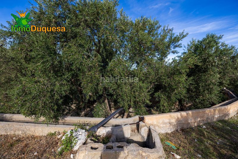 Foto a90aaee8-b181-4d70-86df-ccc11a8c3805. Masia a Pinar (El)