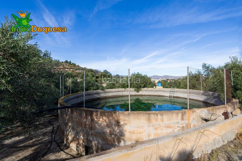 Foto b536431a-f665-4b2a-9353-0f5738ab9a3d. Masia a Pinar (El)