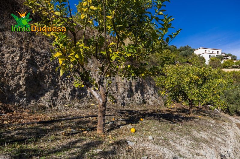Foto b691a9ac-53be-4786-ab3b-cc30a71eec02. Masia a Pinar (El)
