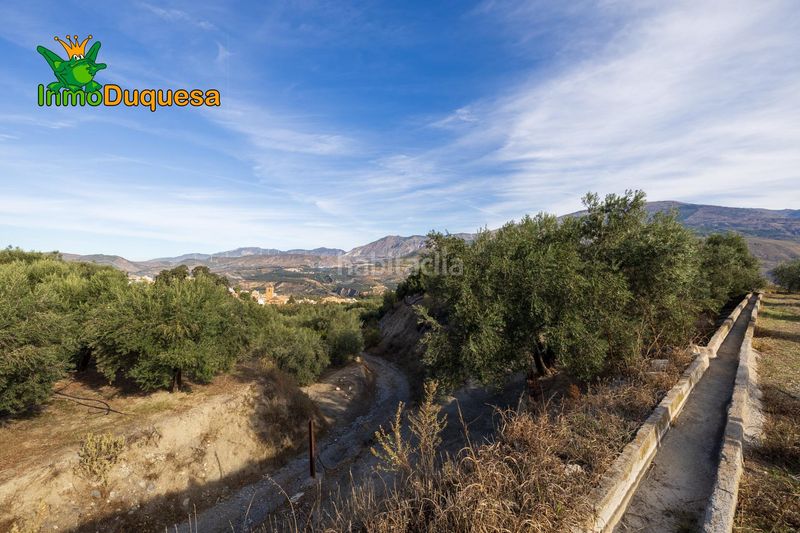 Foto b926da1e-2bc3-4253-8968-9f22a0bee911. Masia a Pinar (El)