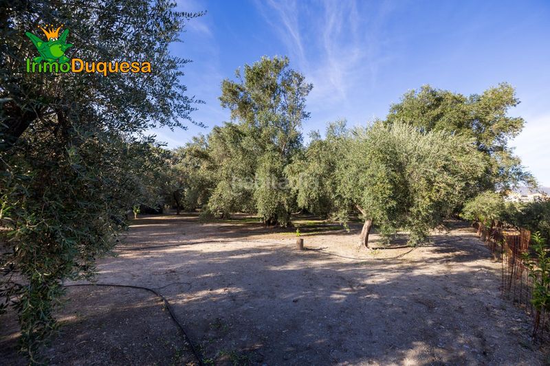 Foto c13f917e-ffae-4cc3-a2ef-2b269e4ad2f5. Masia a Pinar (El)