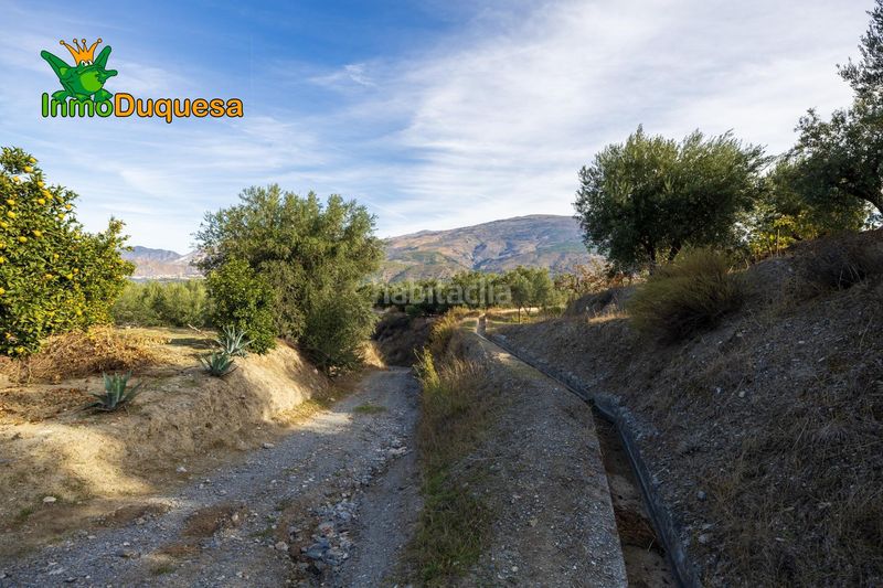 Foto c7ee90e4-5679-4532-88b9-e903c1bfa07d. Masia a Pinar (El)