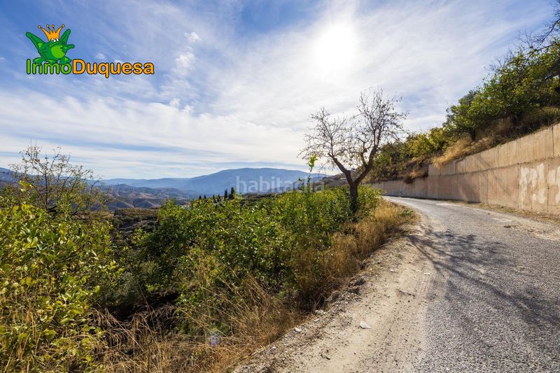 Foto ca04198d-409d-4640-814e-1622ba7e6ca3. Masia a Pinar (El)