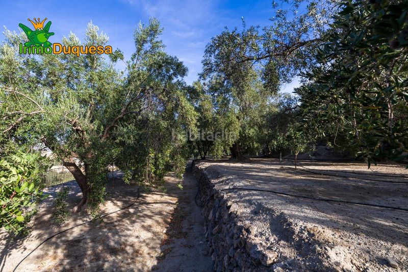 Foto d12932e0-4cfe-4f2d-bcf3-c78670c3bc85. Masia a Pinar (El)