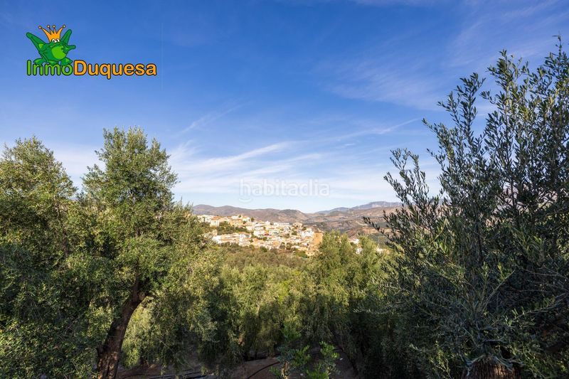 Foto d5f8a62b-f2c0-4b42-94e3-7351770b58c0. Masia a Pinar (El)