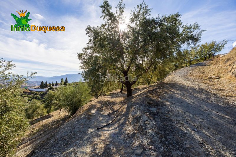 Foto d6ed95e2-9cf0-4922-ba17-7f9c3643c000. Masia a Pinar (El)