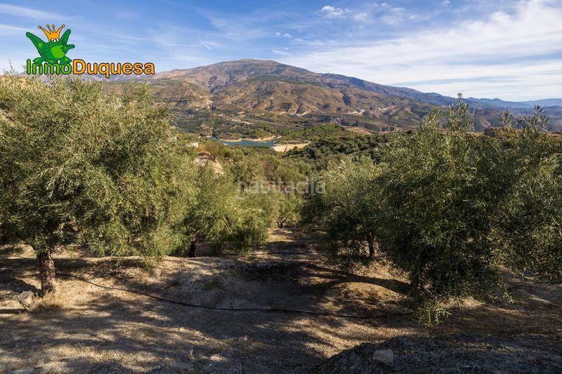 Foto f5bdef71-e608-4bcb-838a-75655923fa0e. Masia a Pinar (El)