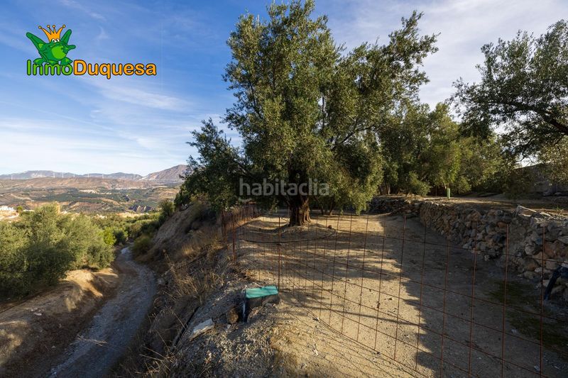 Foto f95e4d6e-e15d-488f-8a04-16dfe159dc1c. Masia a Pinar (El)