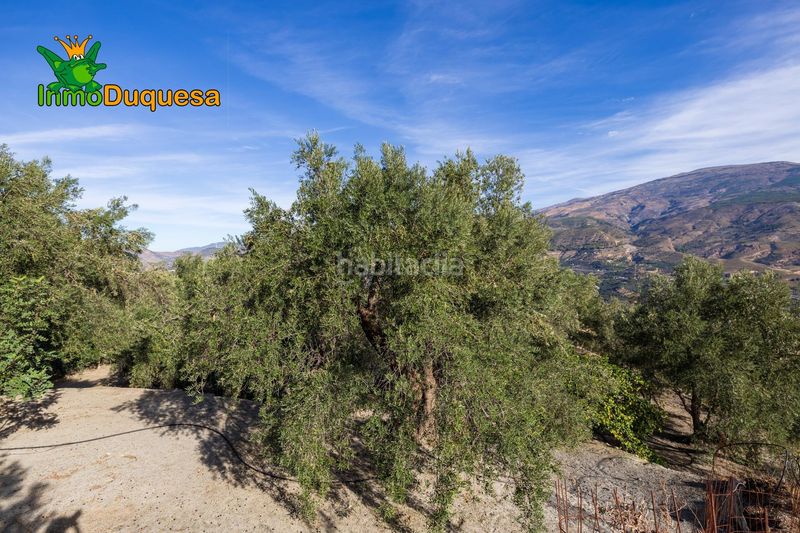 Foto fc40d35c-784f-4367-b22c-f8ce3b908db0. Masia a Pinar (El)