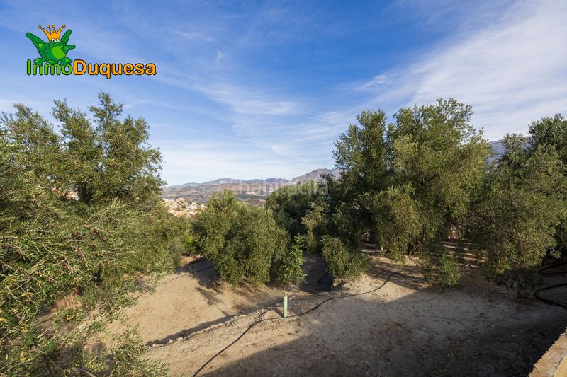 Foto ff63e1d3-1b5c-4140-9cd6-7ce2f26b0ad1. Masia a Pinar (El)