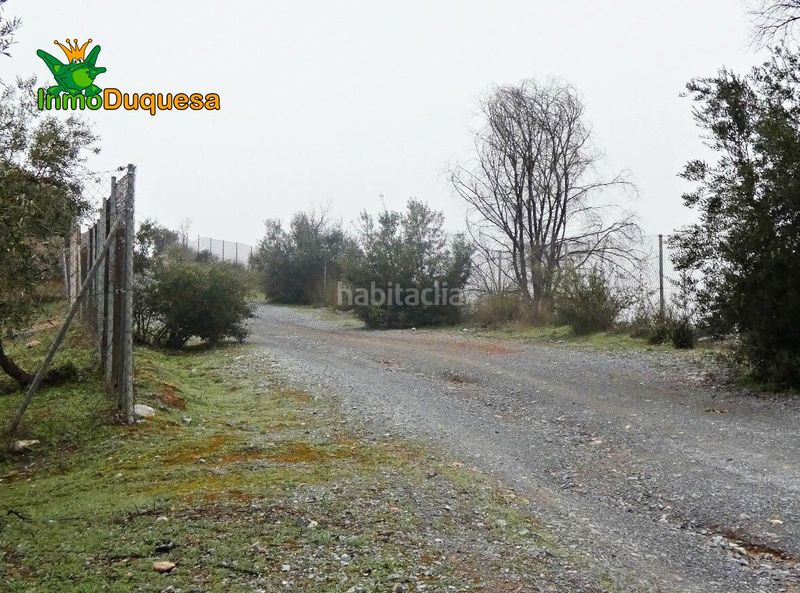 Foto 0896cbec-82bd-4e7a-b377-82bdc30c3c69. Masia a Peligros