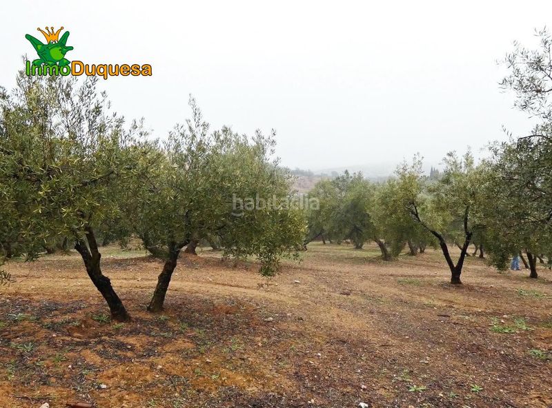 Foto 25337a90-d012-4e4c-8566-0bc78004753c. Masia a Peligros