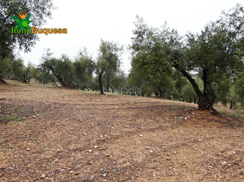 Foto 55147d12-33f6-49aa-8375-3967f8fc2452. Masia a Peligros