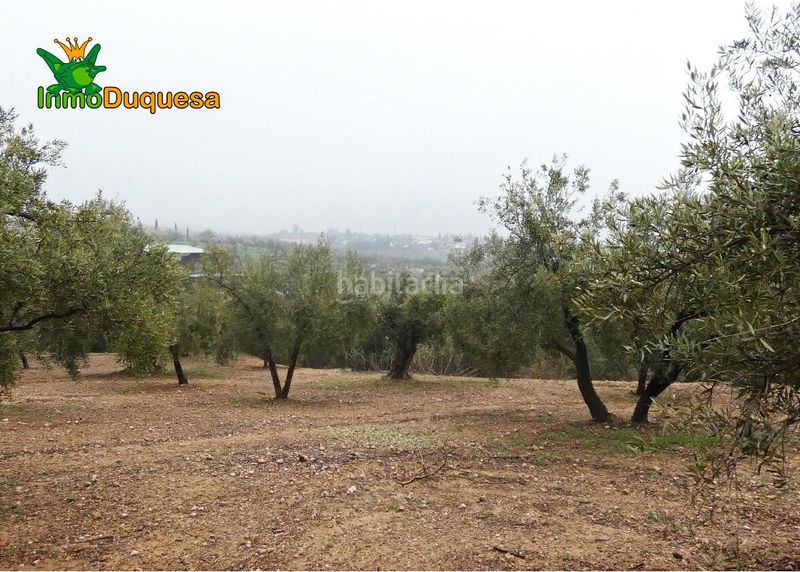 Foto 56e0dc5f-0ea7-4b3e-93ef-5aa5cd622cc1. Masia a Peligros