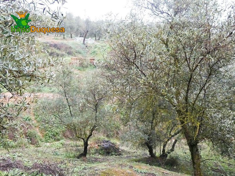 Foto 5c98b4da-0fb4-4dd3-b358-da861e28c0e5. Masia a Peligros