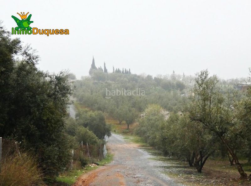 Foto 5dc7d622-265f-4969-8c2d-482072034ce6. Masia a Peligros