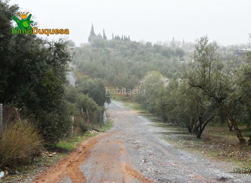 Foto 7ab0b634-cf56-4b9c-8b37-b1d838e39a75. Masia a Peligros