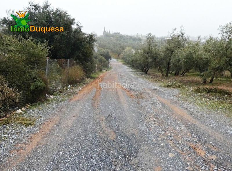 Foto 828bed58-ca68-42f6-9c83-395ce8827d5f. Masia a Peligros