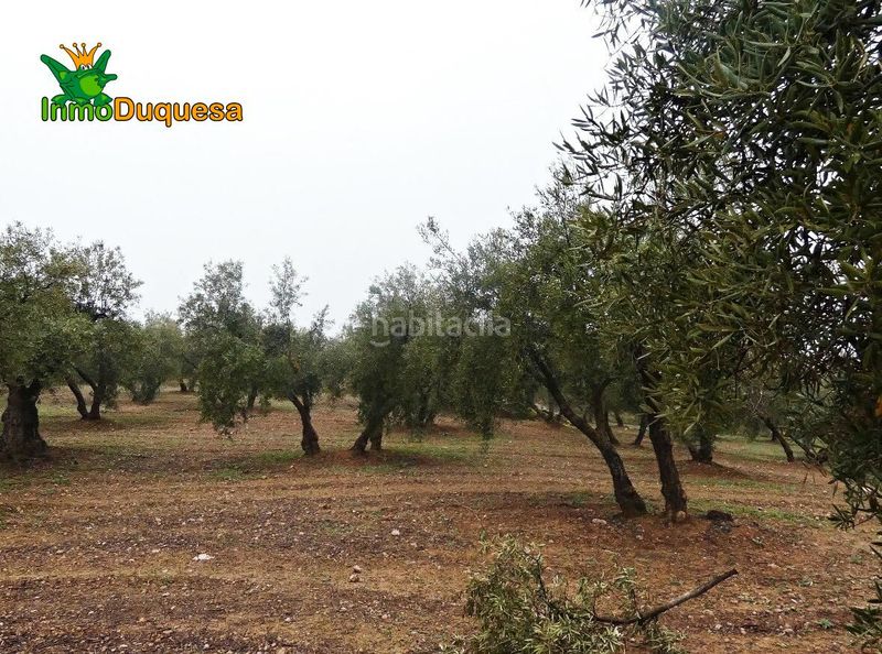 Foto cded313f-518e-4cd3-8a1b-7dc816f40a3f. Masia a Peligros