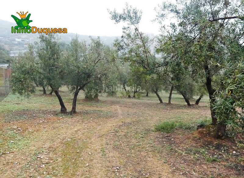Foto ddf1114d-47de-470b-9ca9-a95948bf979f. Masia a Peligros