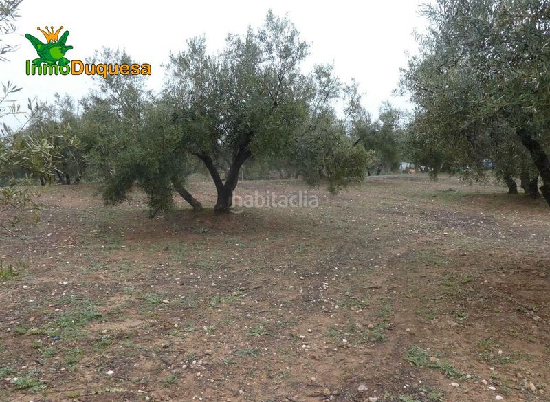 Foto 0fa73be2-ef86-42d7-b486-5bbcbbe93641. Masia a Peligros