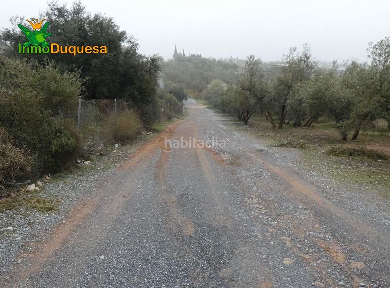 Foto 242c3d07-b2a7-44f2-9656-2e1ec8a847f1. Masia a Peligros