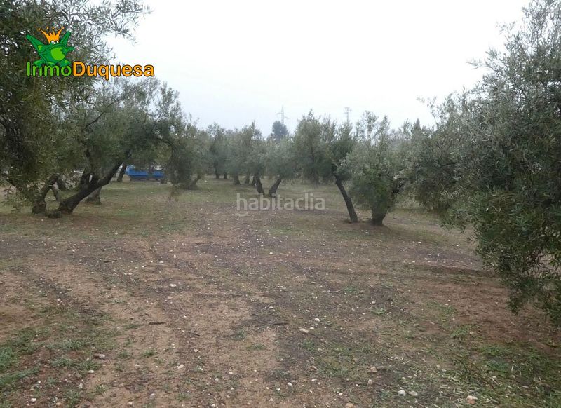 Foto 24f93009-b236-4668-a2c7-009c3acacb6f. Masia a Peligros