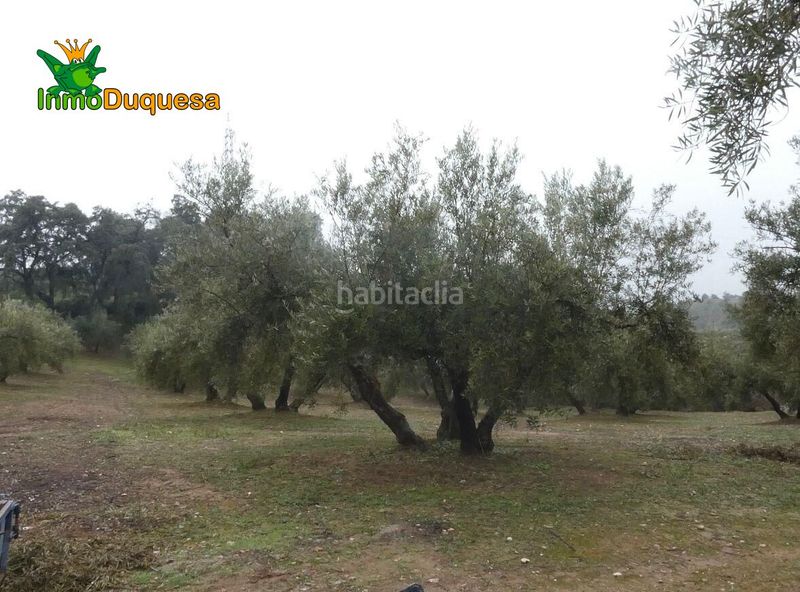 Foto 2889dd7b-865d-4542-a491-0929f4ee0e42. Masia a Peligros