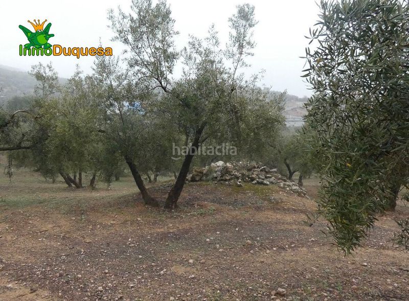 Foto 299f3276-4d8e-4a67-a547-5470bf361a8a. Masia a Peligros
