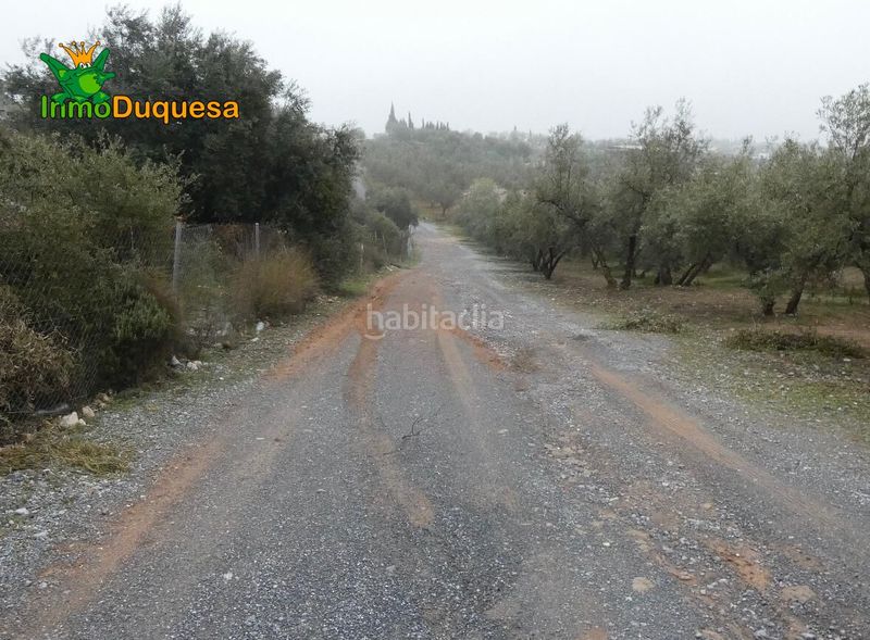 Foto 2aafb6b0-d54b-4999-a913-8d9bd0c9117c. Masia a Peligros